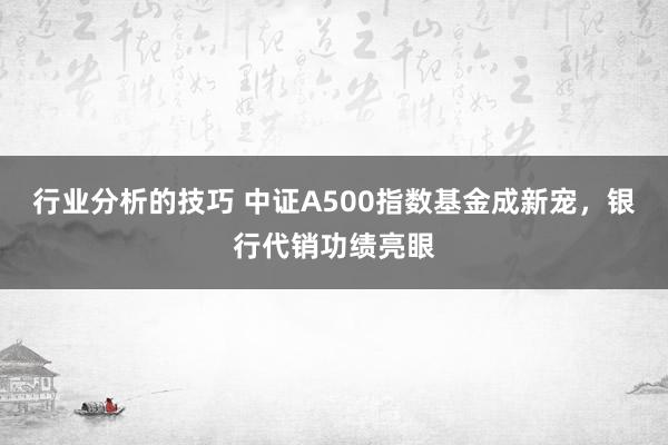 行业分析的技巧 中证A500指数基金成新宠，银行代销功绩亮眼