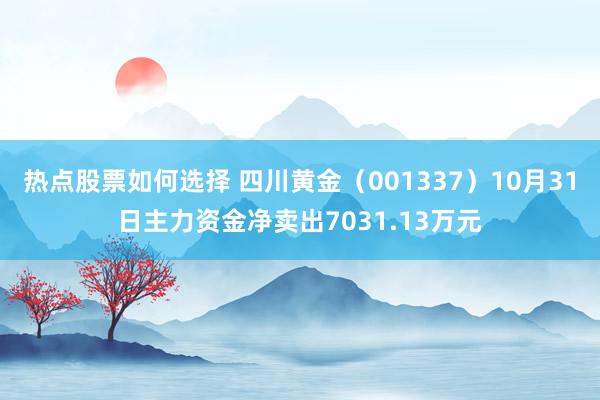 热点股票如何选择 四川黄金（001337）10月31日主力资金净卖出7031.13万元