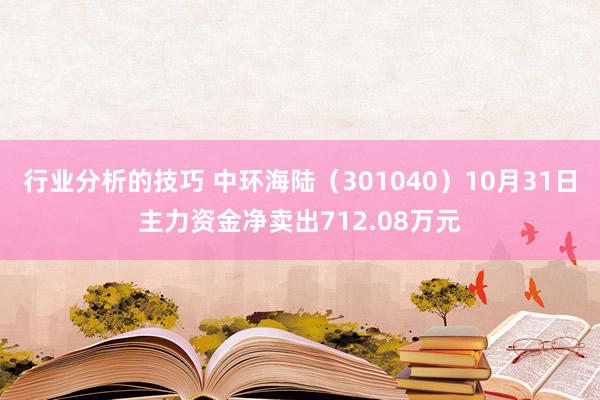 行业分析的技巧 中环海陆（301040）10月31日主力资金净卖出712.08万元