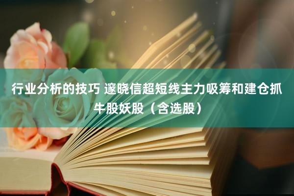 行业分析的技巧 邃晓信超短线主力吸筹和建仓抓牛股妖股（含选股）