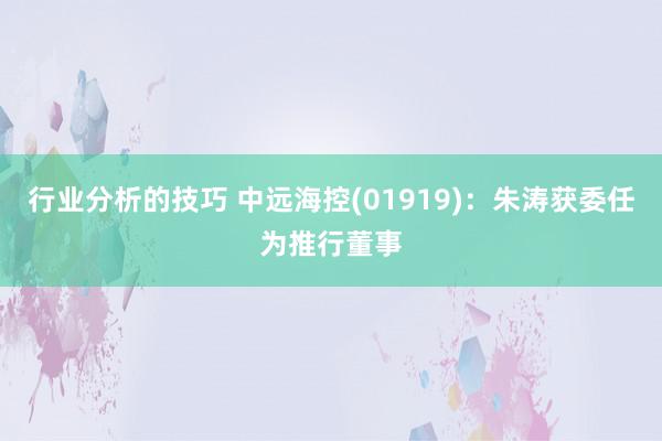 行业分析的技巧 中远海控(01919)：朱涛获委任为推行董事