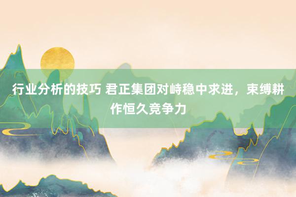 行业分析的技巧 君正集团对峙稳中求进，束缚耕作恒久竞争力