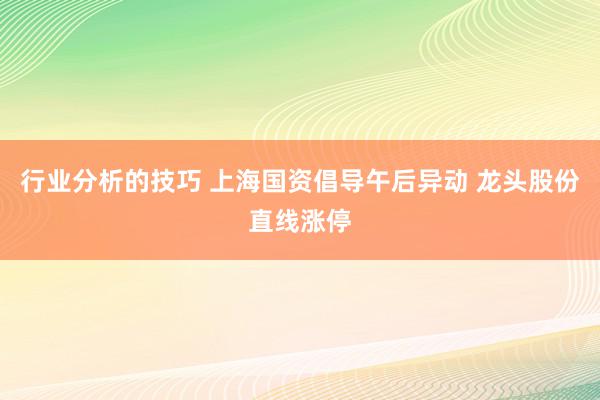 行业分析的技巧 上海国资倡导午后异动 龙头股份直线涨停