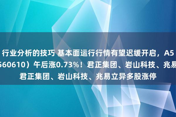 行业分析的技巧 基本面运行行情有望迟缓开启，A500指数ETF（560610）午后涨0.73%！君正集团、岩山科技、兆易立异多股涨停