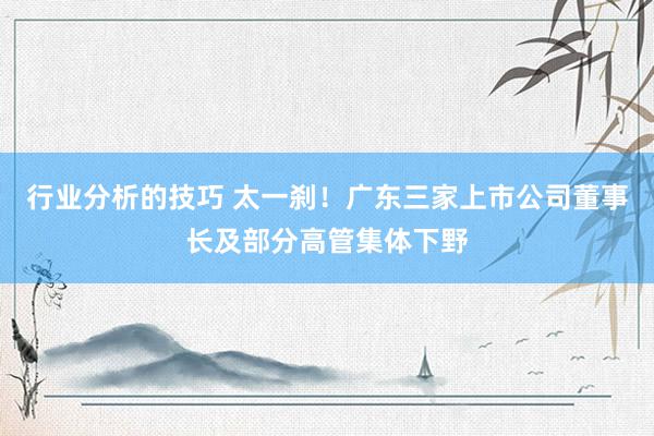 行业分析的技巧 太一刹！广东三家上市公司董事长及部分高管集体下野