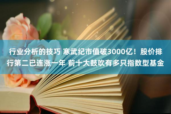 行业分析的技巧 寒武纪市值破3000亿！股价排行第二已连涨一年 前十大鼓吹有多只指数型基金