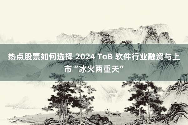 热点股票如何选择 2024 ToB 软件行业融资与上市“冰火两重天”