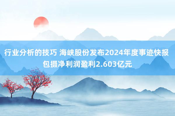 行业分析的技巧 海峡股份发布2024年度事迹快报 包摄净利润盈利2.603亿元