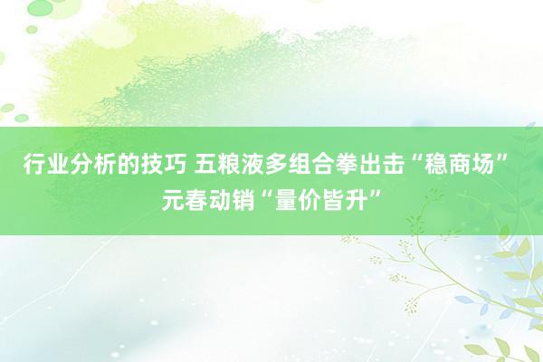 行业分析的技巧 五粮液多组合拳出击“稳商场” 元春动销“量价皆升”