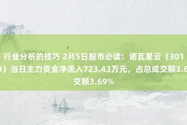 行业分析的技巧 2月5日股市必读：诺瓦星云（301589）当日主力资金净流入723.43万元，占总成交额3.69%