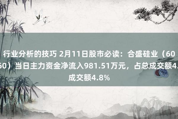 行业分析的技巧 2月11日股市必读：合盛硅业（603260）当日主力资金净流入981.51万元，占总成交额4.8%