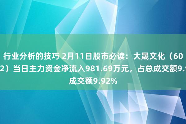 行业分析的技巧 2月11日股市必读：大晟文化（600892）当日主力资金净流入981.69万元，占总成交额9.92%