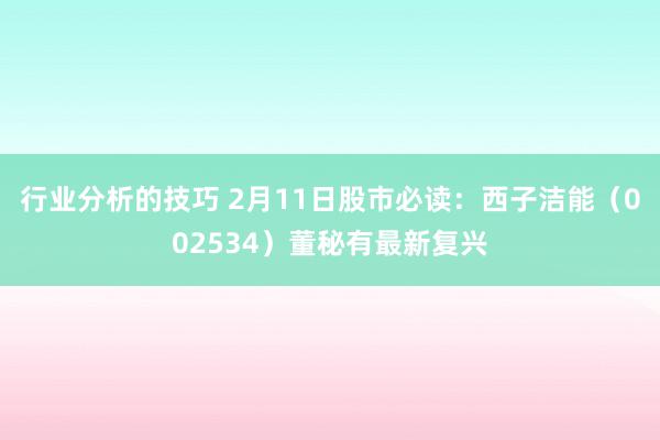 行业分析的技巧 2月11日股市必读：西子洁能（002534）董秘有最新复兴