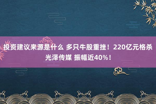 投资建议来源是什么 多只牛股重挫！220亿元格杀光泽传媒 振幅近40%！