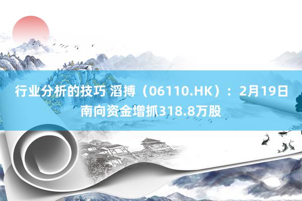 行业分析的技巧 滔搏（06110.HK）：2月19日南向资金增抓318.8万股