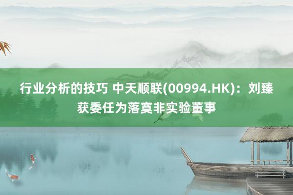 行业分析的技巧 中天顺联(00994.HK)：刘臻获委任为落寞非实验董事