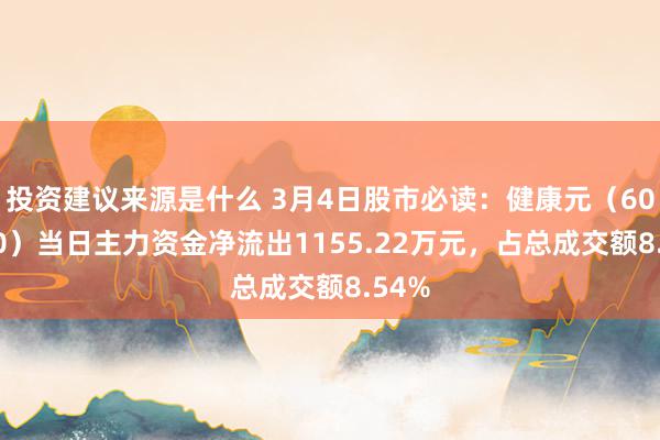 投资建议来源是什么 3月4日股市必读：健康元（600380）当日主力资金净流出1155.22万元，占总成交额8.54%