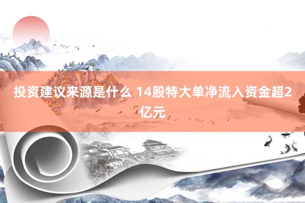 投资建议来源是什么 14股特大单净流入资金超2亿元